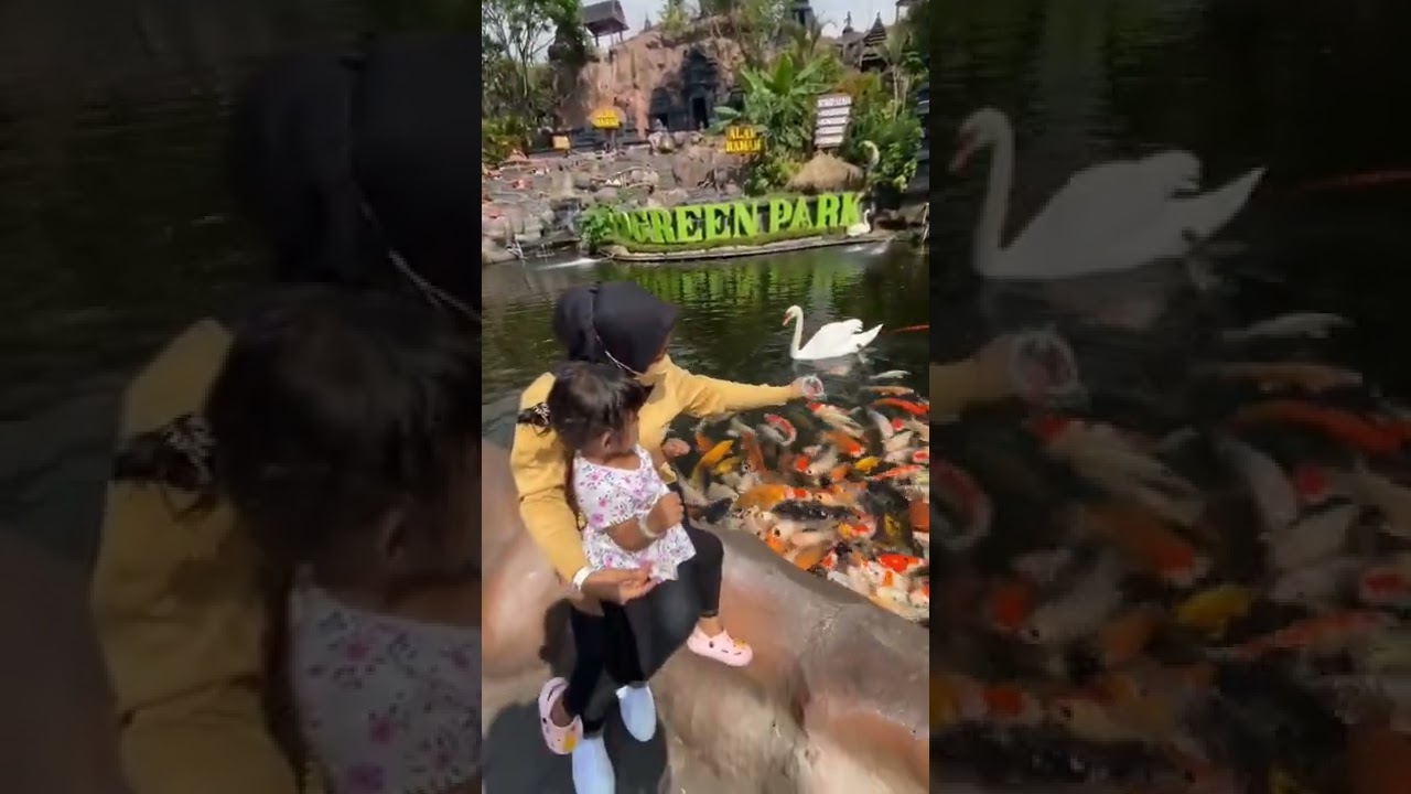 WISATA ECO GREEN PARK MALANG ADA BURUNG FLAMINGO DAN IKAN CANTIK#shorts