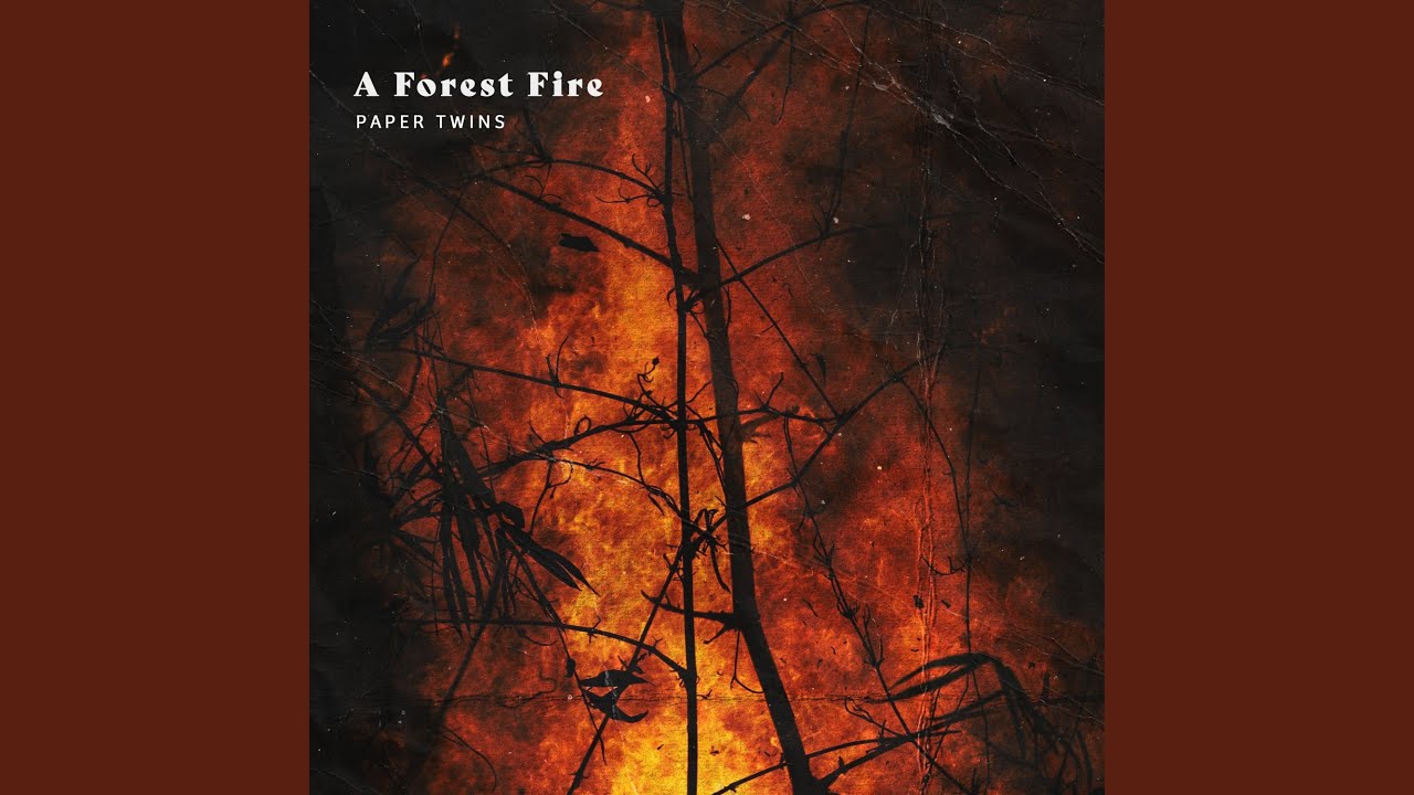 A Forest Fire