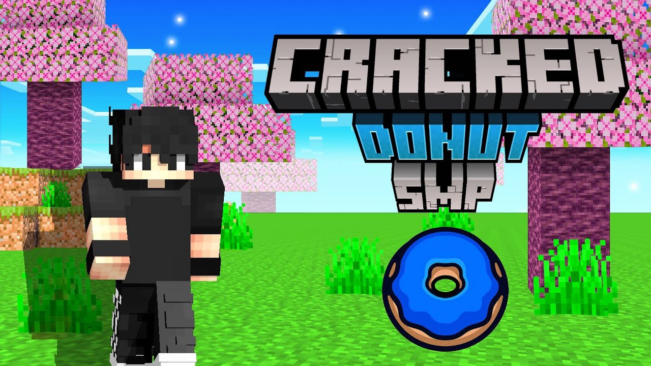 TOP 3 Cracked Minecraft DONUT SMP SERVERS