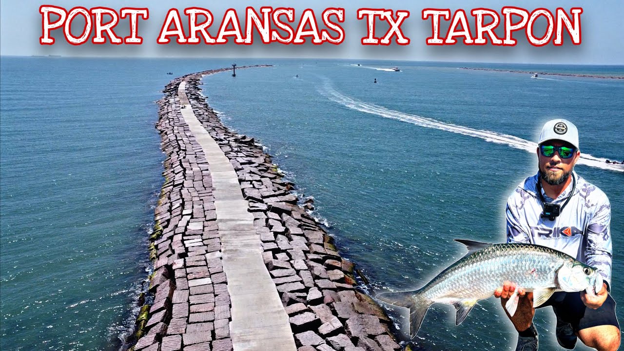 EPIC Summertime Jetty Fishing (How To Catch TEXAS TARPON)