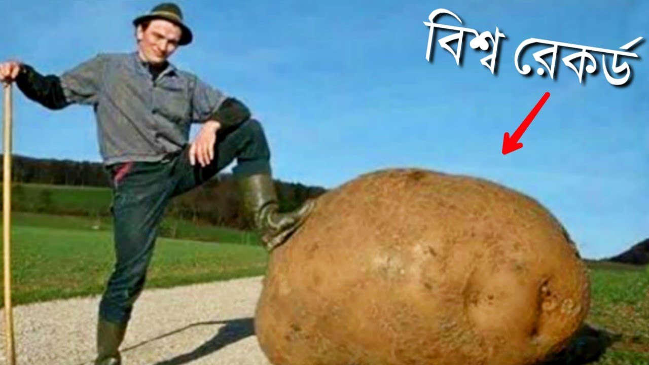 অবিশ্বাস্য ১০টি বিশ্ব রেকর্ড যা দেখলে আপনার মাথা ঘুরে যাবে | Most Amazing Guinness World
