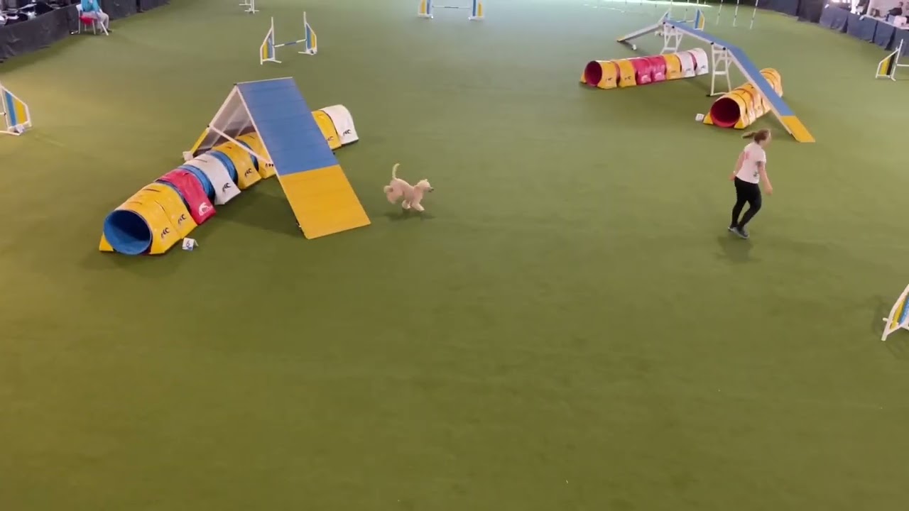 Kiito Hungarian AWC Tryout 2024.03.23-24.