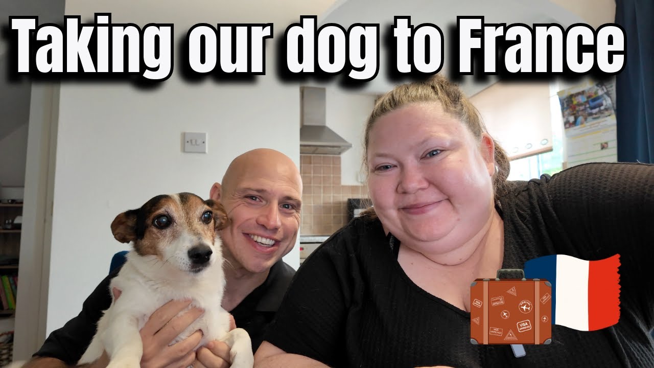 Taking Our Dog to France 🇫🇷 | UK to EU Pet Travel & Animal Health Certificate Tips