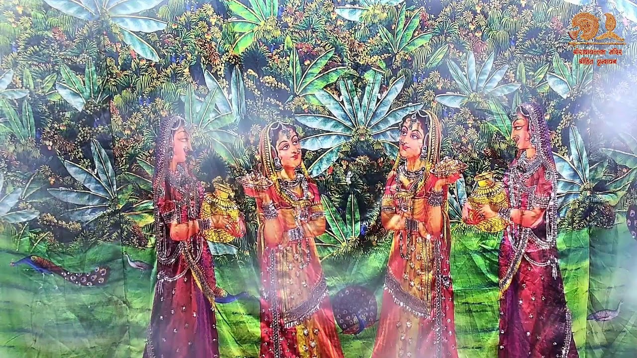 Live : Shri RadhaVallabh Mandir Daily Live Darshan Vrindavan