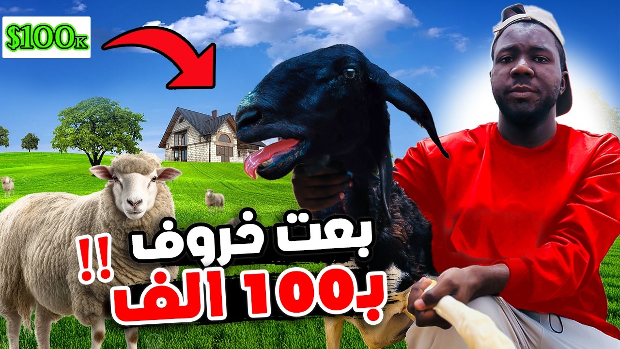 بتاجر بـ1000 ريال وأجمع 10 ملايين في نيجيريا 2# !!  🇳🇬