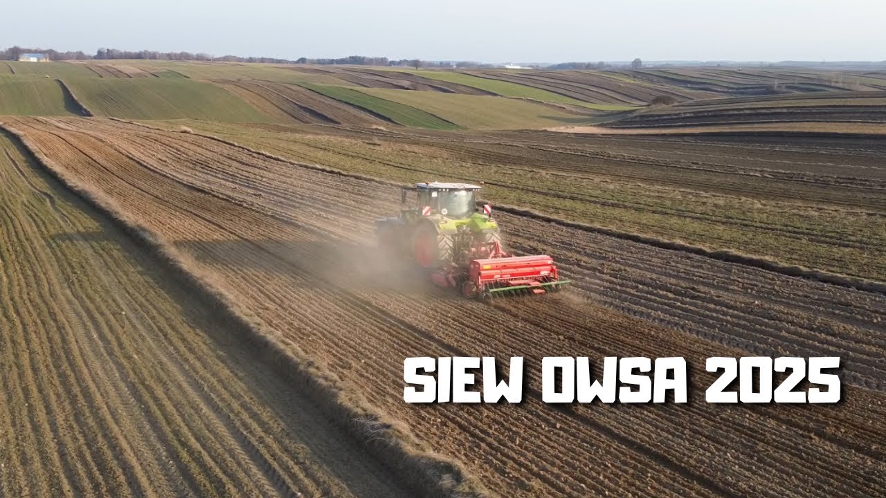 Siew owsa 2025⭐ Czy to będzie suchy rok⭐  Claas Arion 630 ⭐