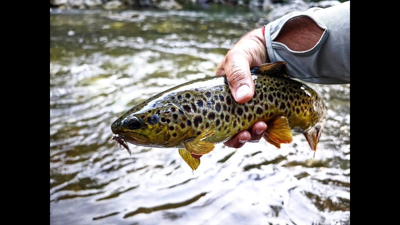 Направи си сам, хвани си сам. Съвети за риболов с #KillerBug.  Trouts Fishing