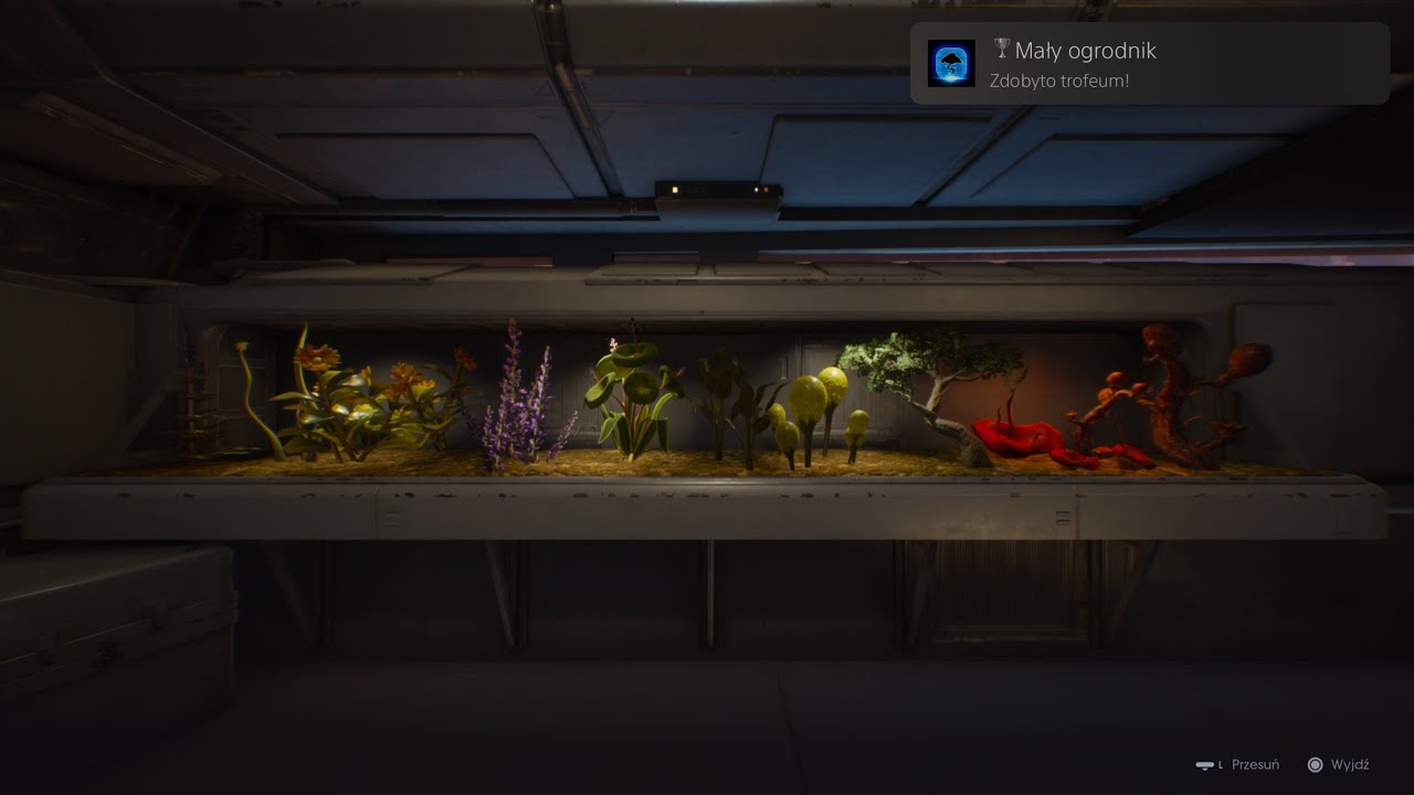 Mały Ogrodnik Wszystkie Nasiona Terrarium/Green Thumb All Terrarium Seed Trophy / Achievement