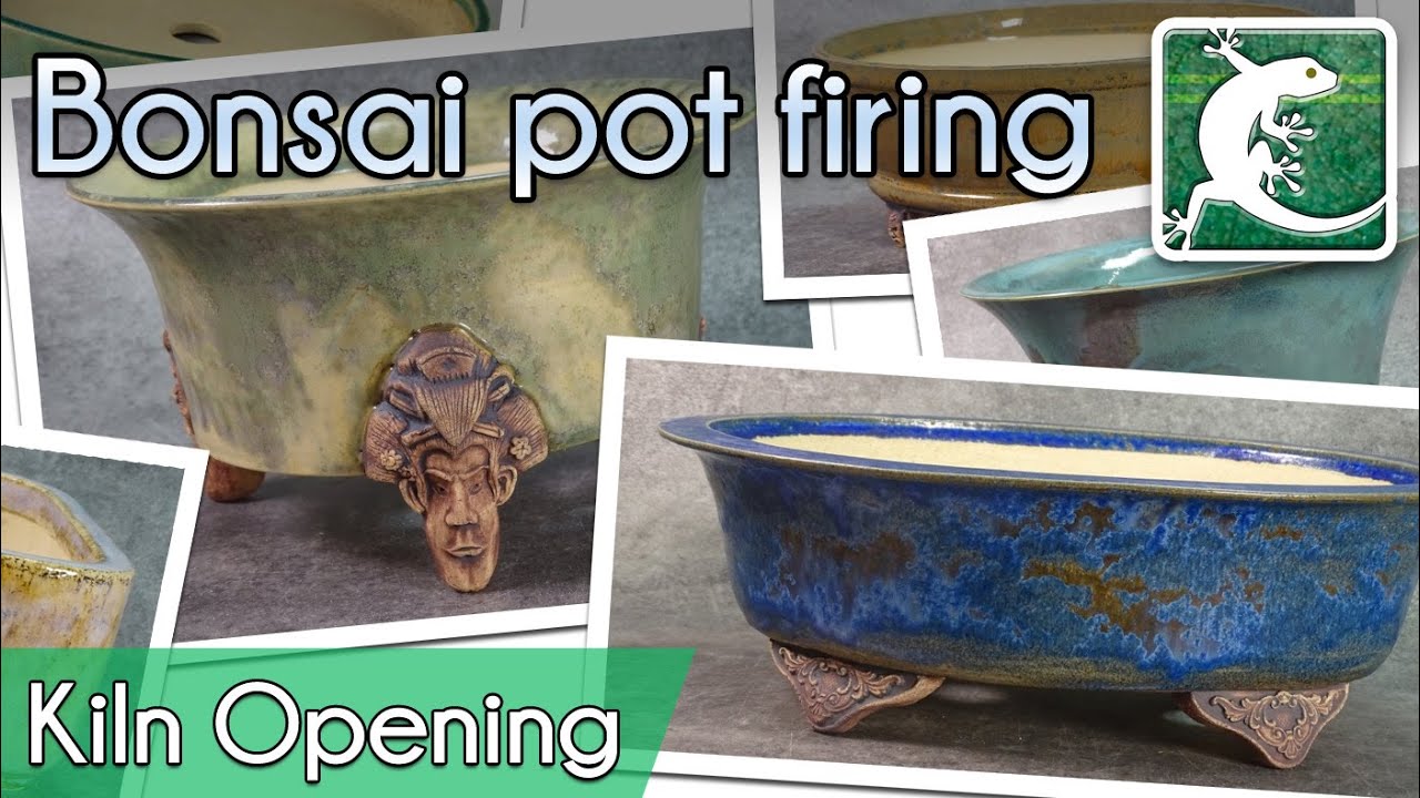 Opening - Bonsai pots Greg-Ceramics - Nov 2020 (2)