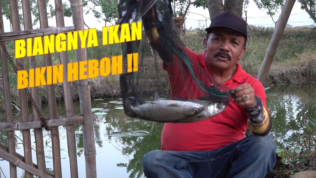 Mancing Singkat, Padat dan Menghebohkan‼️
