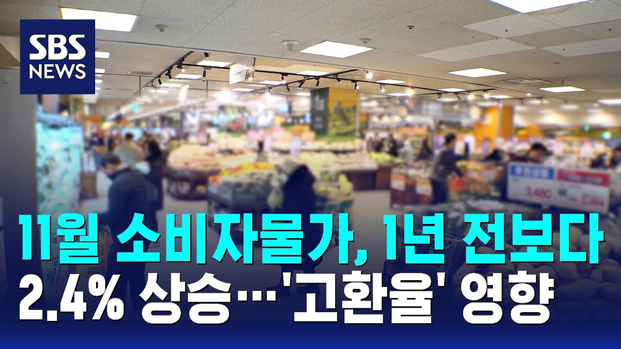 11월 소비자물가, 1년 전보다 2.4% 상승&hellip;'고환율' 영향 / SBS