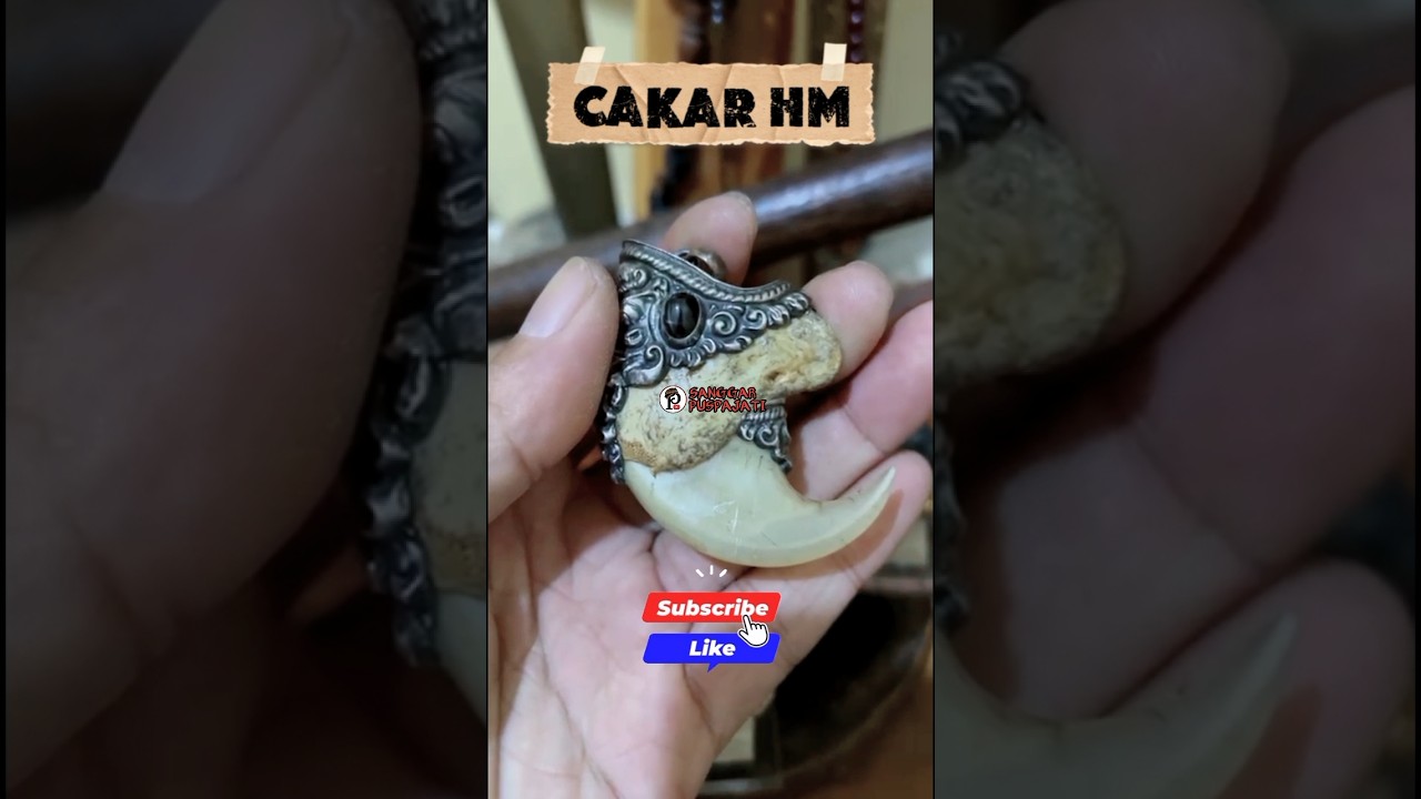 Tiger Claw Pendant #pendant #accessories #claw #tiger #sanggarpuspajati