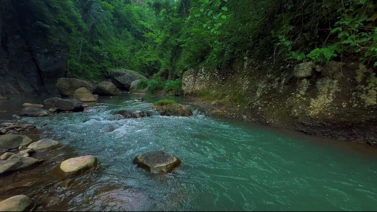 Forest Stream Flowing Sound 24/7. Relaxing River Sounds. Water White Noise for Sleep or Relax.