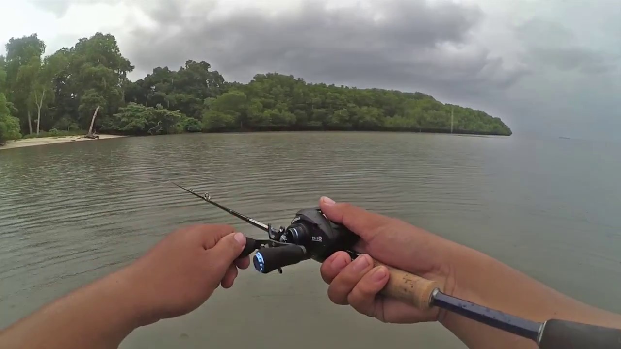 Using the KASTKING ASSASSIN Baitcasting Reel ( Baluran Indonesia )