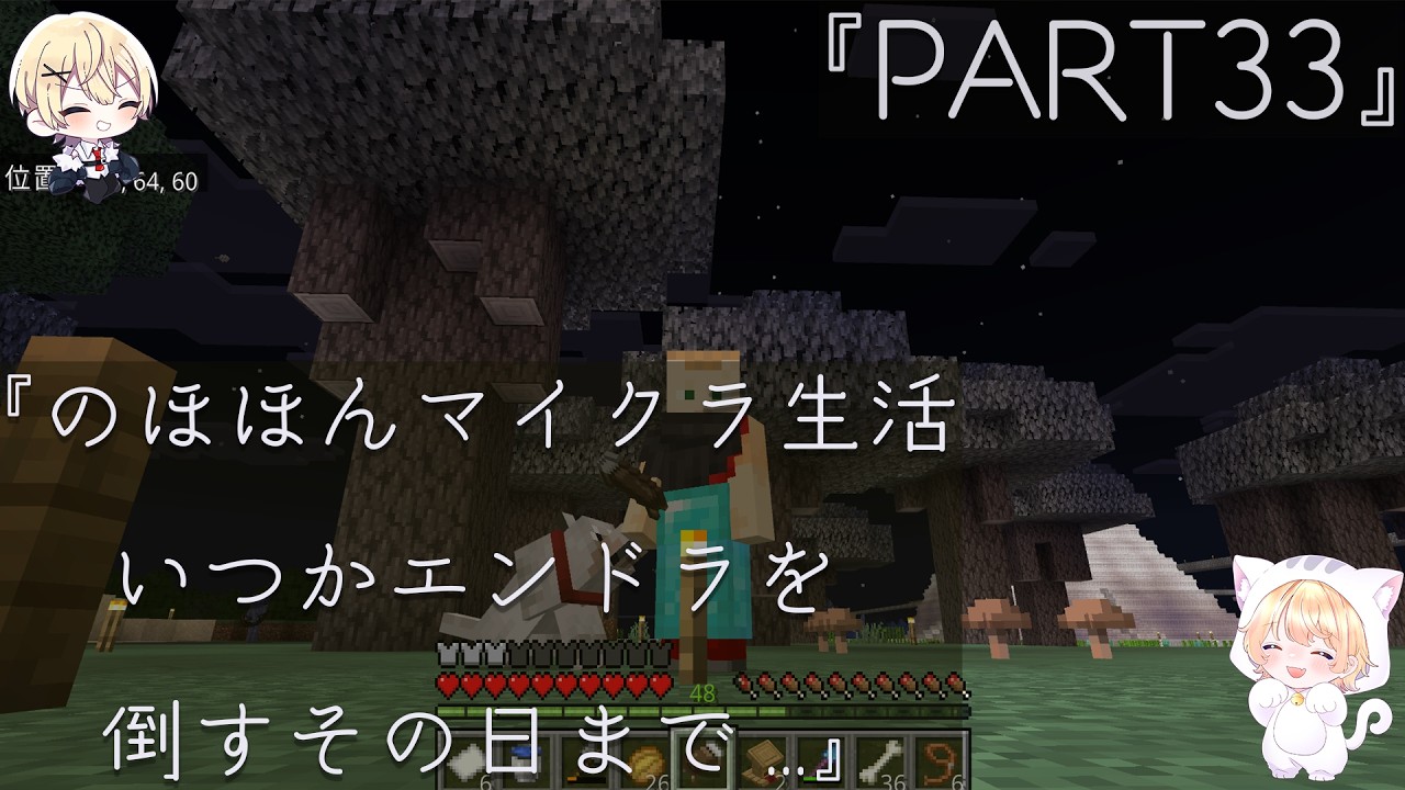マイクラPART33