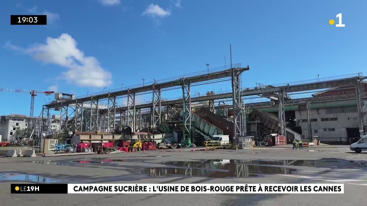 A l'usine de Bois-Rouge, derniers préparatifs avant le lancement de la campagne sucrière