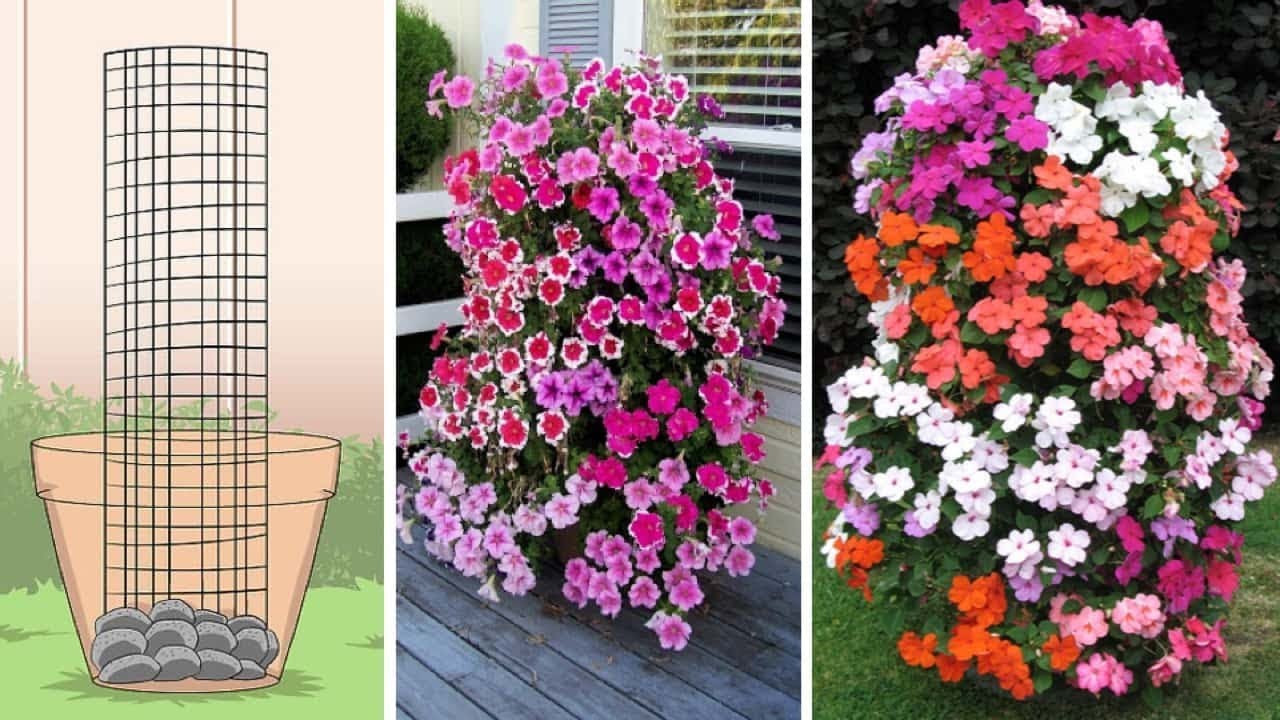 Easy To Make Petunia Tower That Will Get Your Neighbours Talking