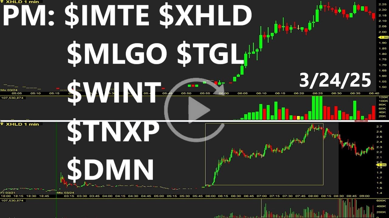 $IMTE $XHLD $MLGO $TGL $WINT $TNXP $DMN PM Top Stocks Replay & Review