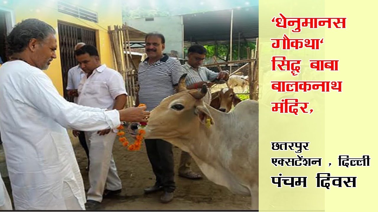 Dhenu Manas Gau Katha  'धेनुमानस गौकथा' सिद्ध बाबा बालकनाथ मंदिर, छतरपुर एक्सटेंशन , दिल्ली |