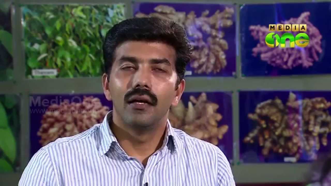 Padavukal - Career Guidance Show - Indian Institute Of Spices Research (Episode 68)