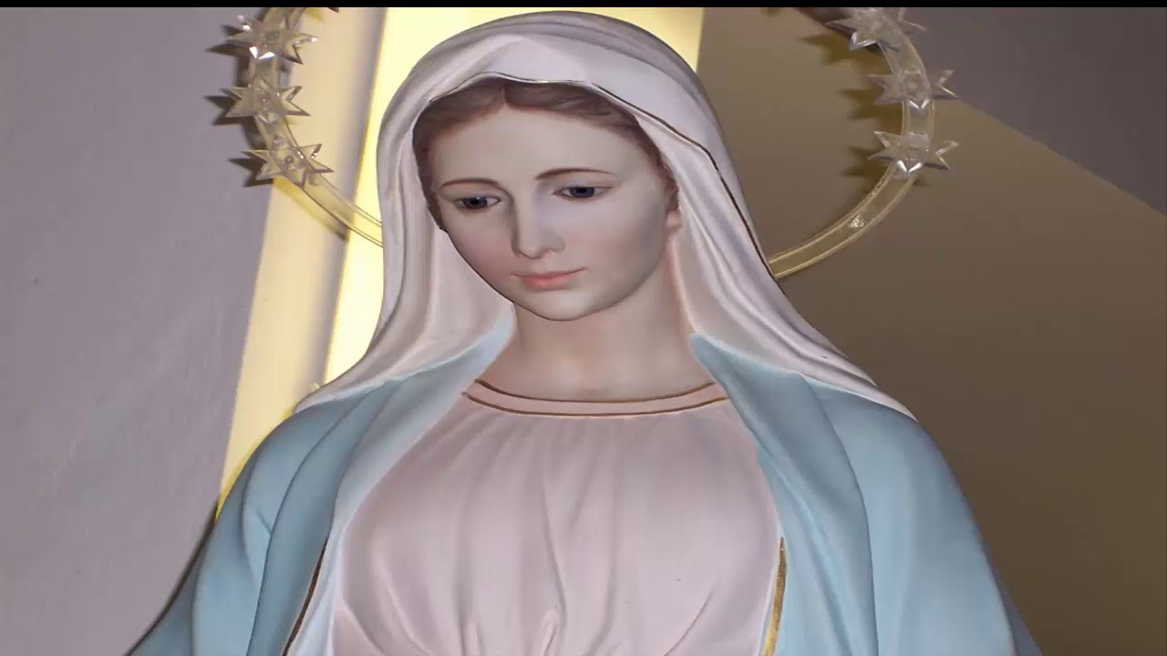 50 ROSAS (Canción de alabanza a la Virgen de la Paz)