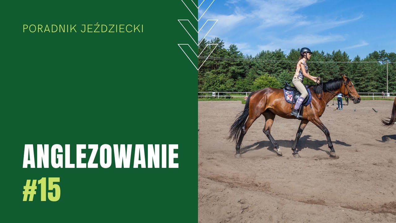ANGLEZOWANIE | Poradnik jeździecki #15