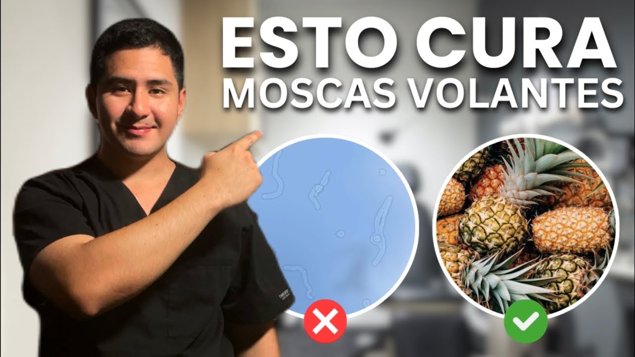 ¿PIÑA sí o no? para MOSCAS VOLANTES