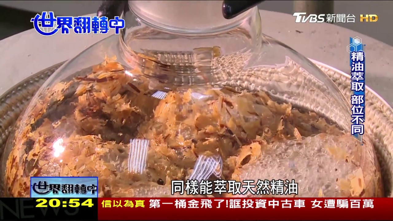 台製精油2000 精油提煉在台灣 溪頭柳杉也能萃取精油