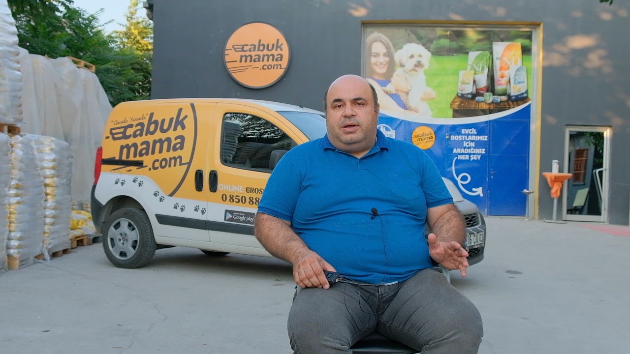 Kedi ve Köpeklerde Tüy Dökülmesi