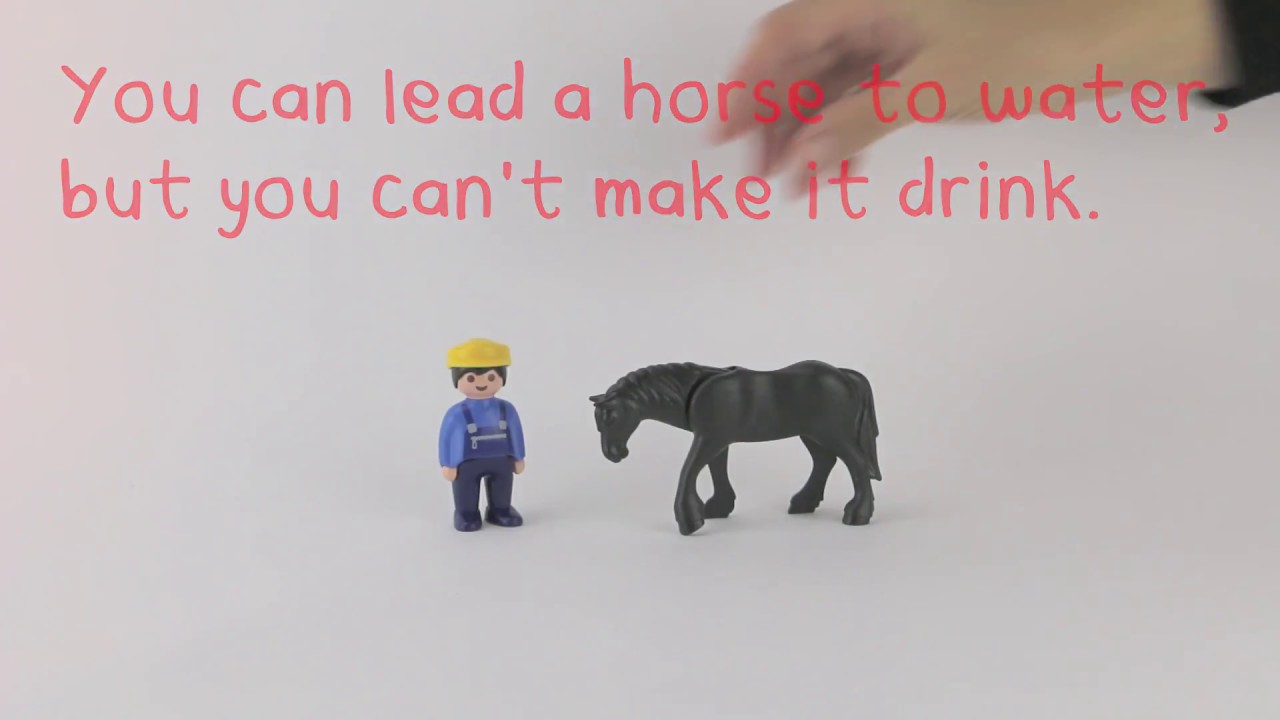 Understanding the logical framework approach: you can lead a horse to water.