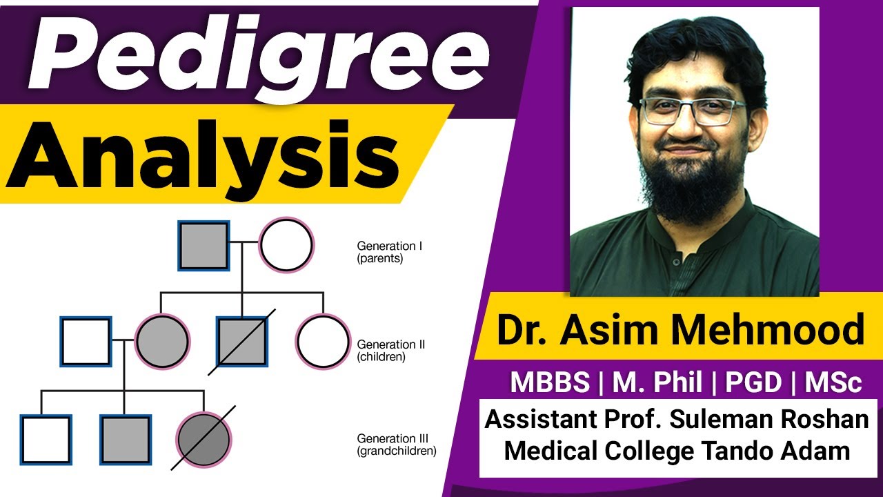 Pedigree Problem Analysis ( Hindi / Urdu )