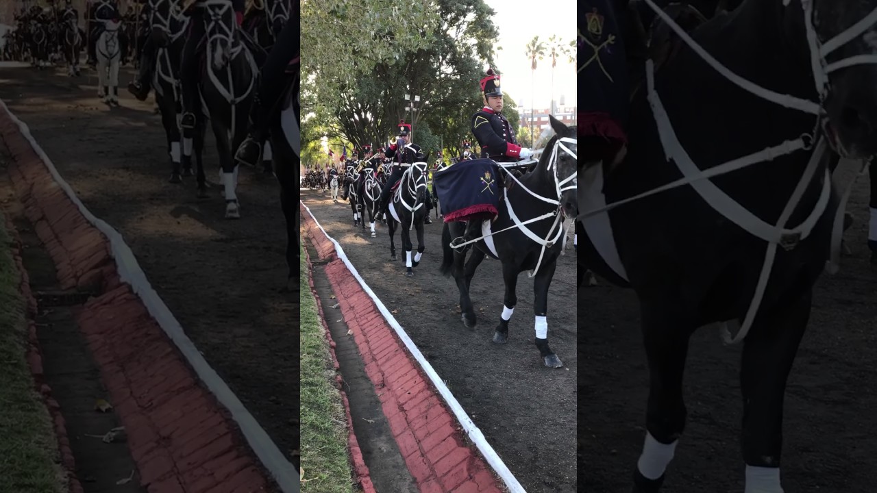 Los blandengues en comando general del ejército