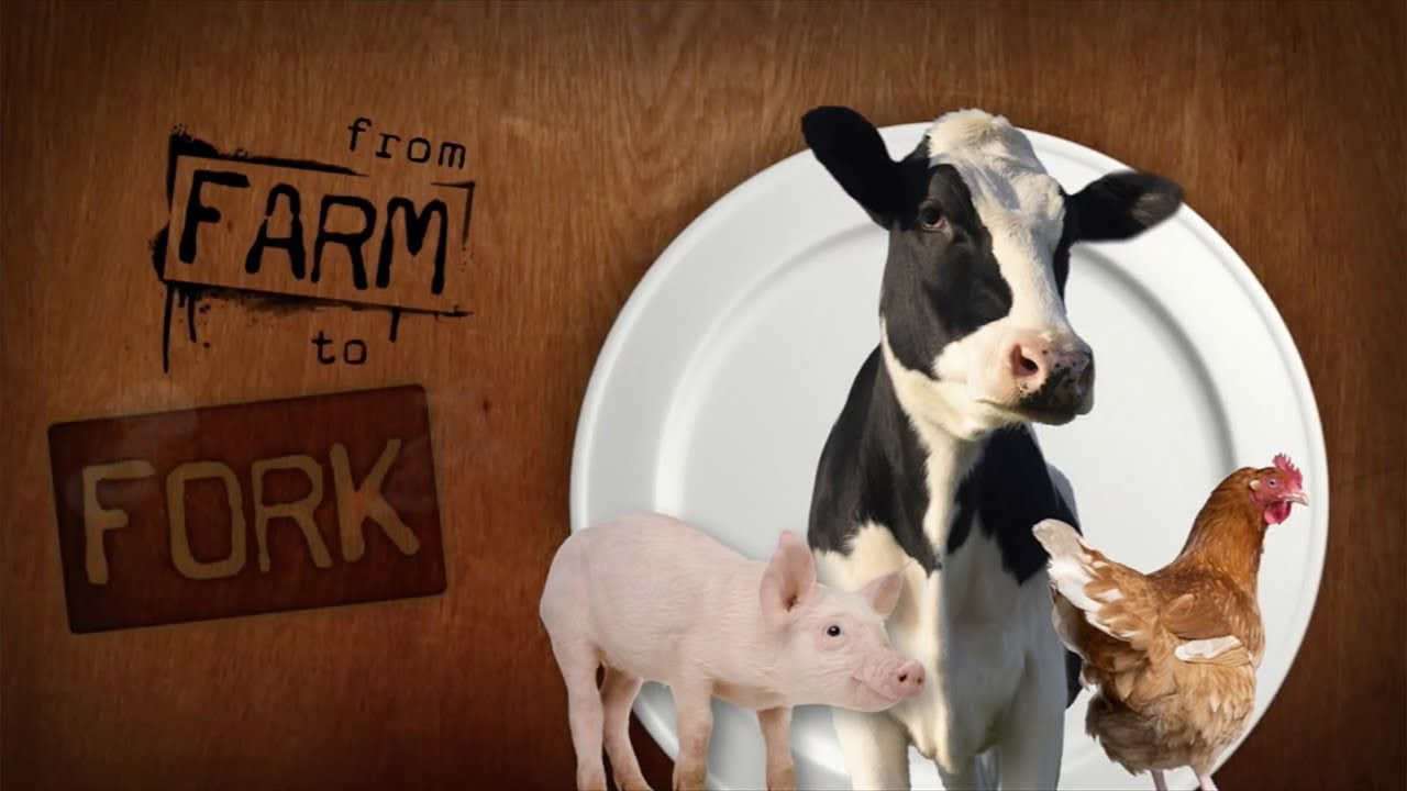 From Farm to Fork (11 minute version)