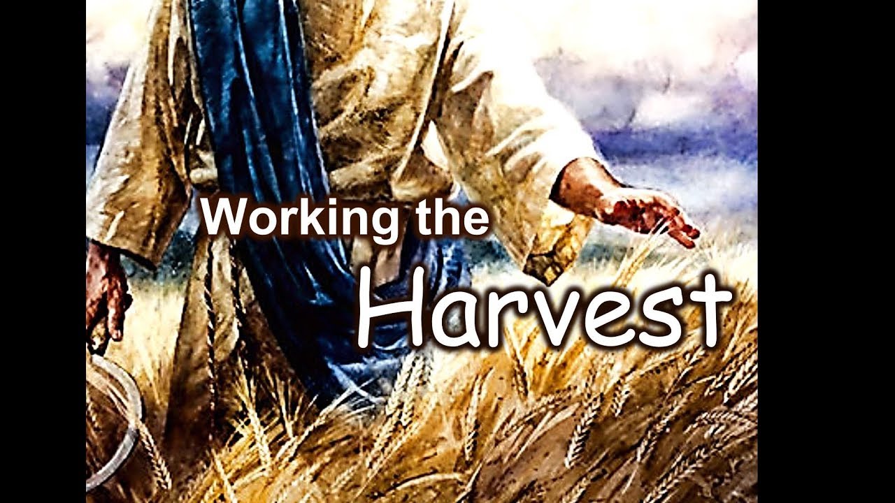 Free PowerPoint Sermon: Working the Harvest