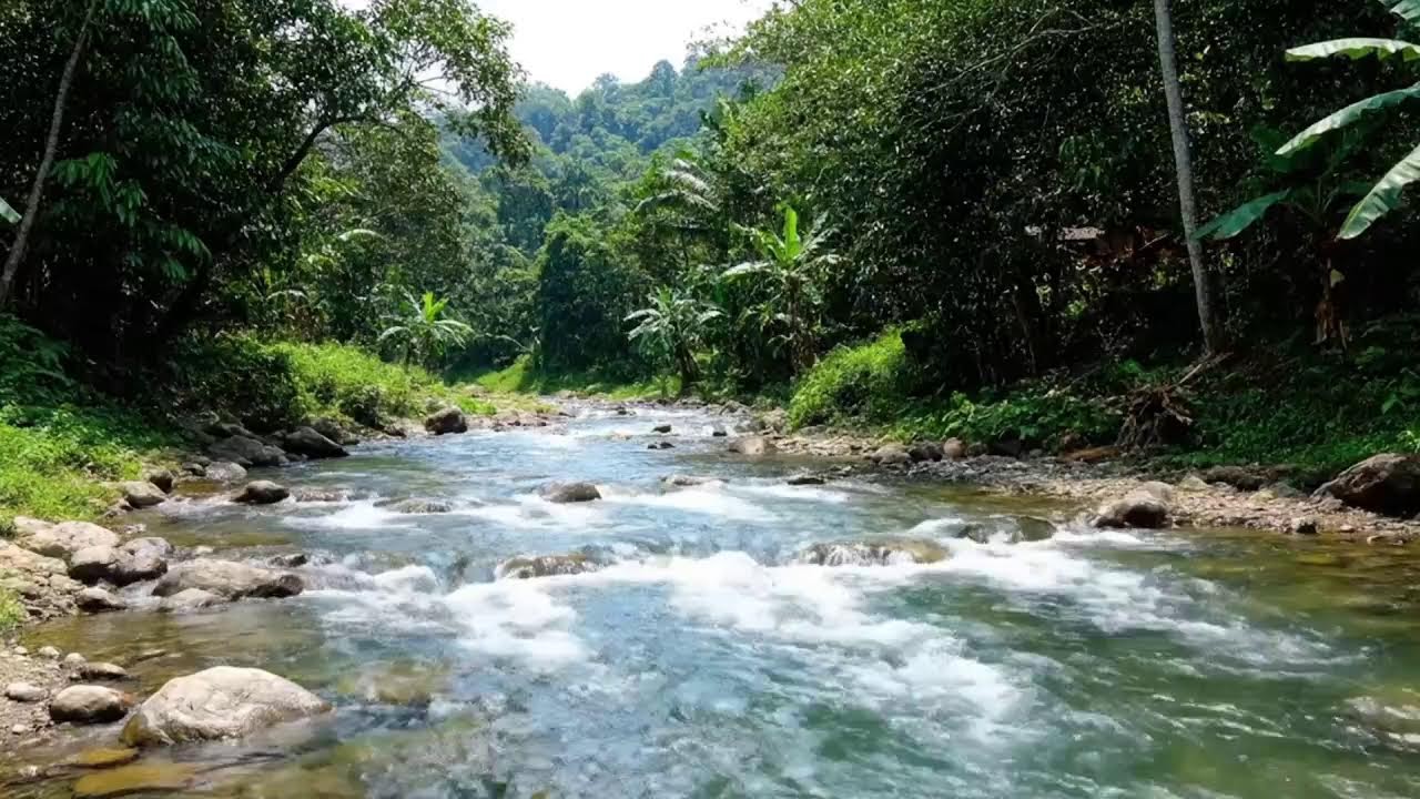 🌊 Peaceful Indonesian River Sounds | Relaxing Nature Ambience 4K