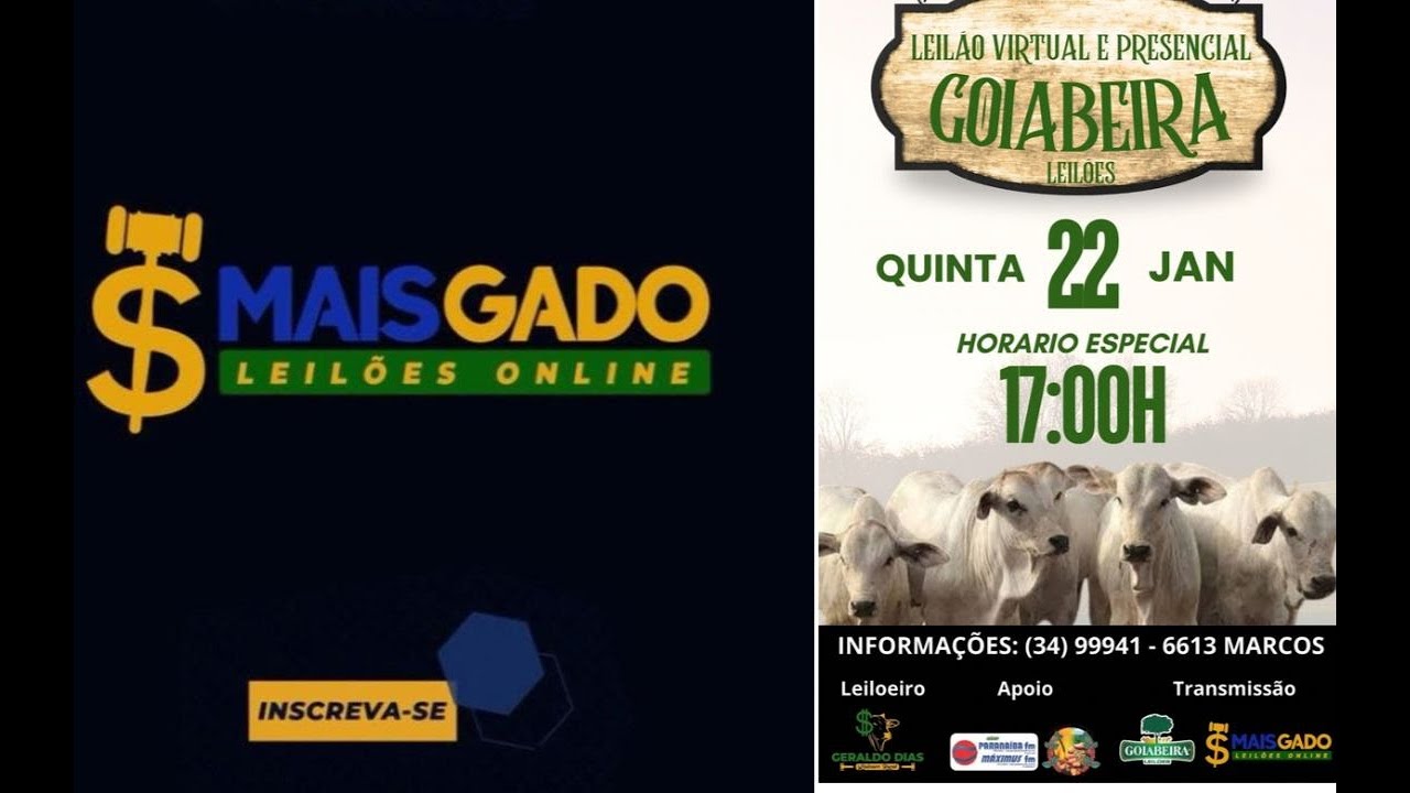 🐂🐄🐃 LEILÃO MISTO DE GADO- 22. 01. 2026 NA GOIABEIRA LEILÕES - MAIS GADO LEILÕES ONLINE  🐂🐄🐃