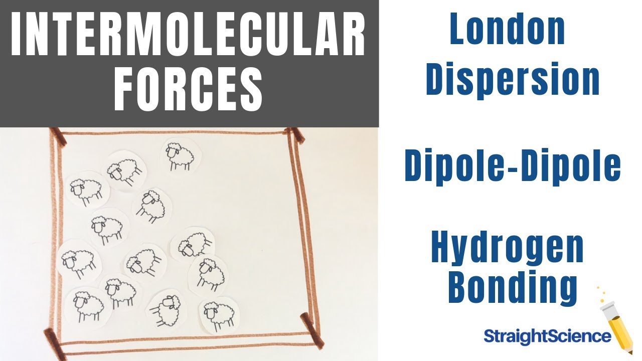 Intermolecular Forces  - StraightScience