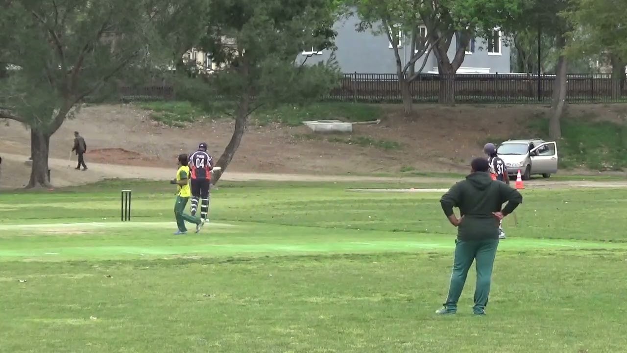 Shaheens vs Silverbacks T20(1)