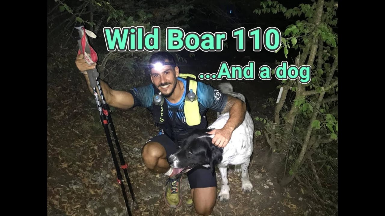 Persenk Ultra 2021 / Wild Boar 110km
