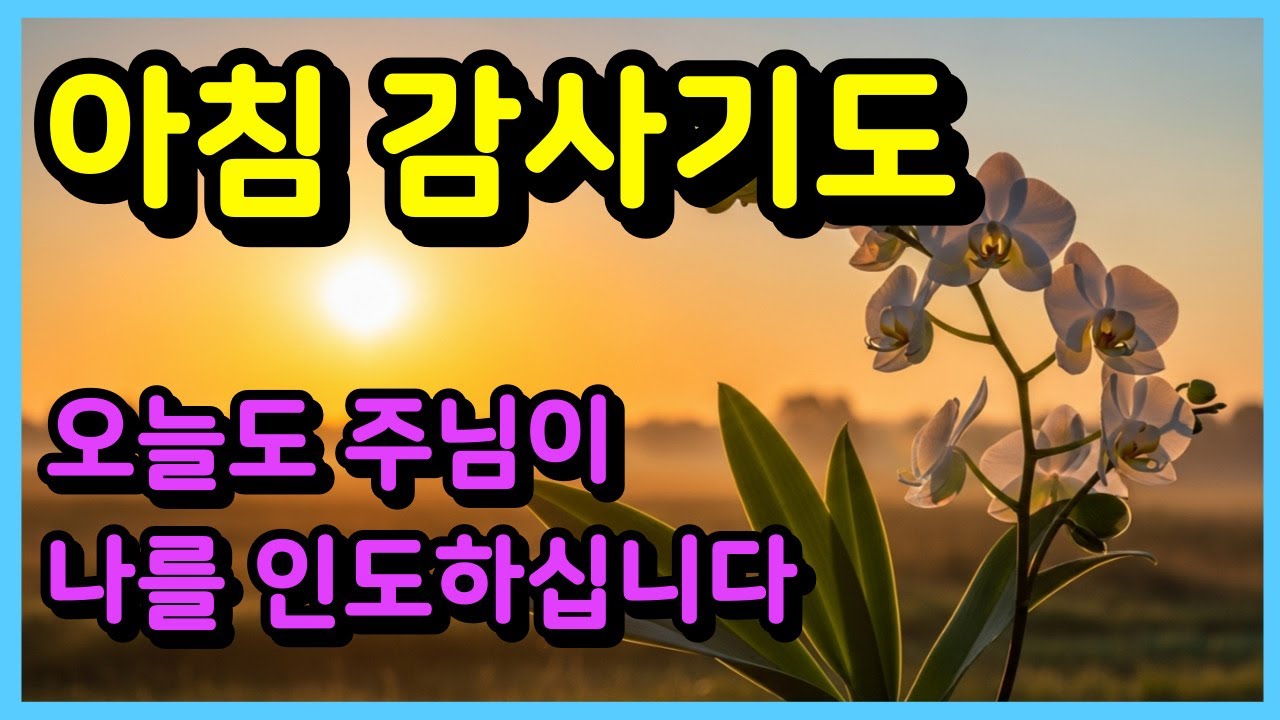 평안의 아침, 주님이 인도하시는 하루 | 시편 23편 아침감사기도 ㅣ아침기도ㅣ하루를 시작하는 기도ㅣ매일기도