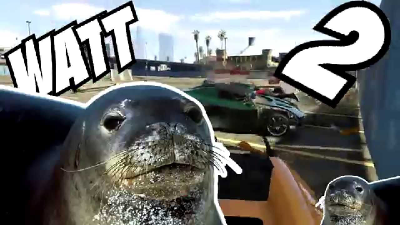 PEDOBEAR, PEGI 18, POPOPOWW ! Délire GTA V ! OoDemoniiak
