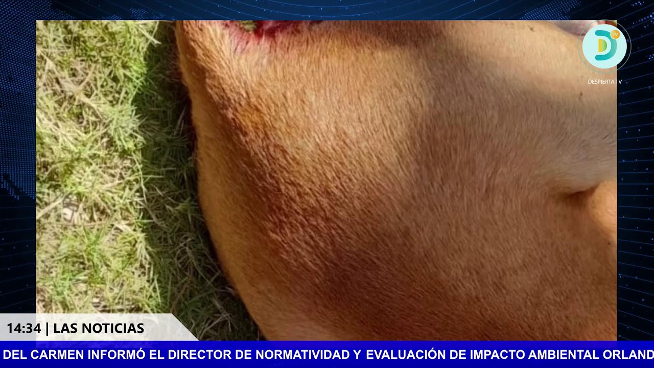 EN VIVO | LAS NOTICIAS 2da Emisión