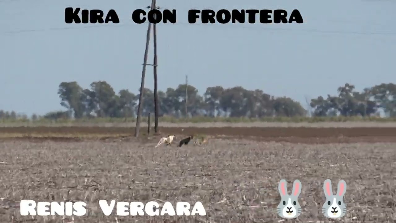 1 de 2 haciendo la frontera de 11 meses