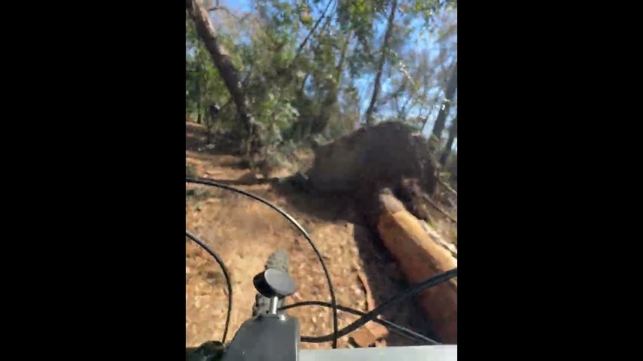 Riding Cypresswood MTB Trails on Polygon Siskiu T8