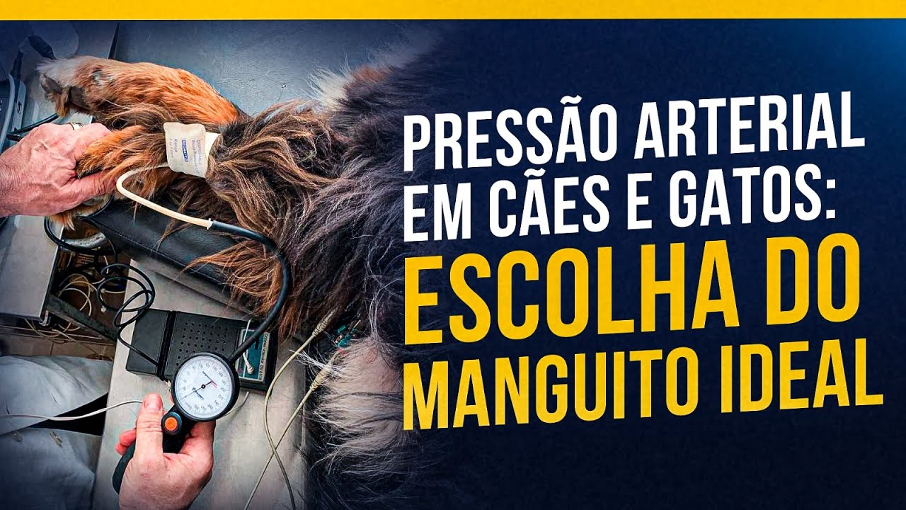 Pressão Arterial em Cães e Gatos: Escolha do Manguito Ideal