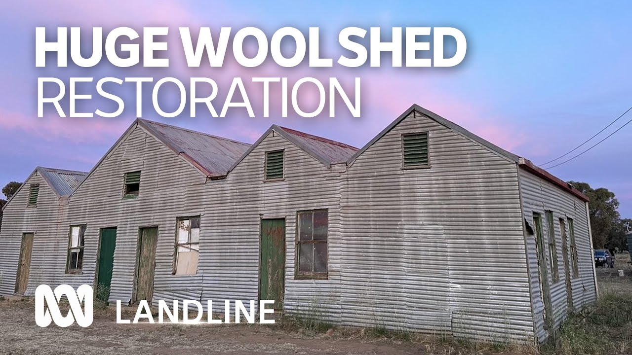 The volunteers out to save Toganmain, one of Australia's most important woolsheds 🐑 | ABC Australia