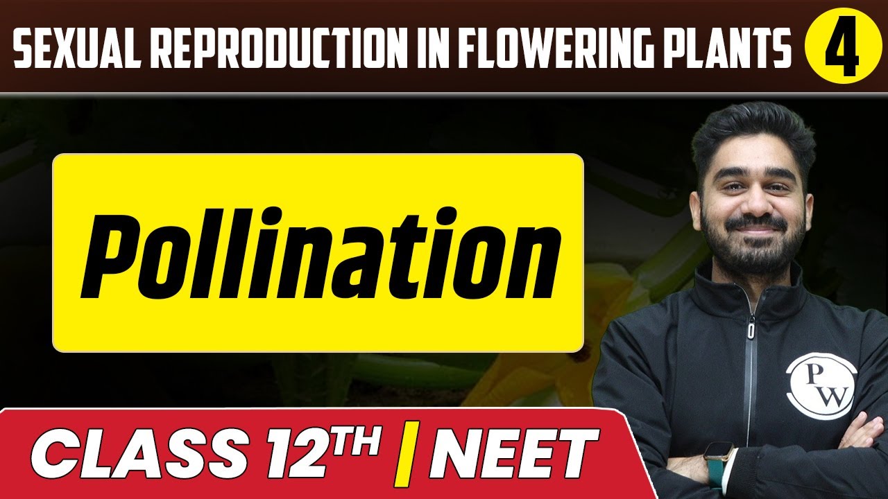 Sexual Reproduction in Flowering Plants 04 | Pollination | Class 12th/NEET