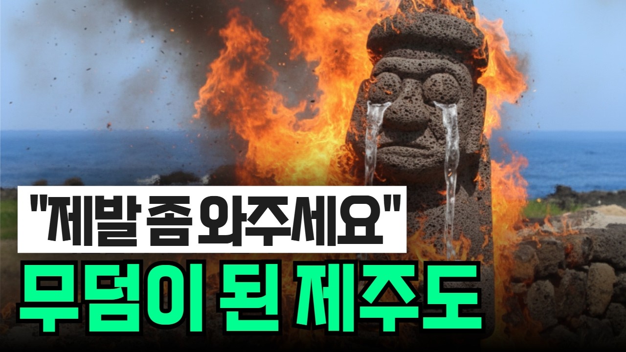 제주도가 무덤이 된 이유 (1년간 0건의 충격)