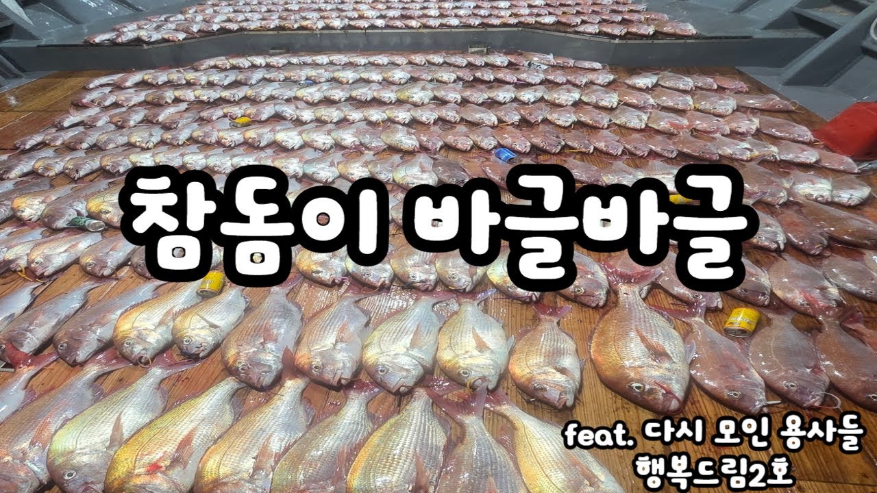 1년만에 다시 모인 용사들... 참돔은 여전히 있다!