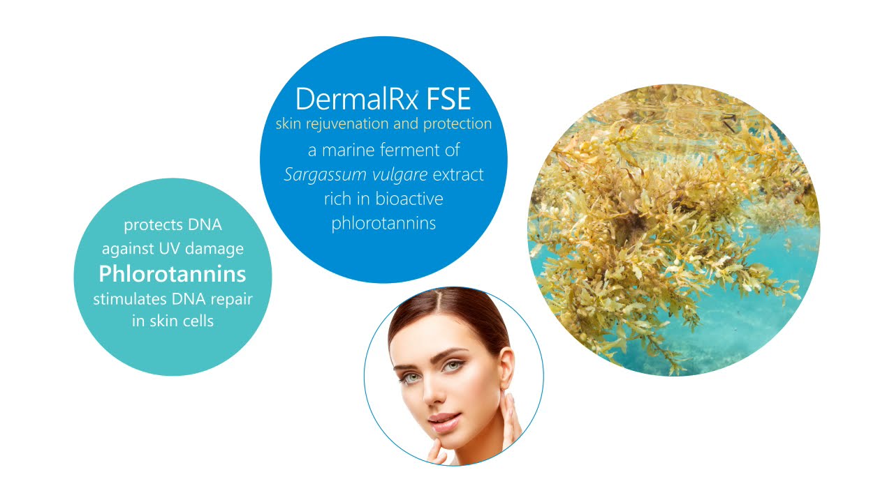DermalRx® FSE - DNA repair and skin protection from biofermented algae extract